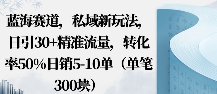 蓝海赛道，私域新玩法，日引30+精准流量，转化率50%日销5-10单（单笔3张）