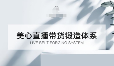 utb5tskrz0y.jpg 直播带货锻造体系课,5G时代美心一站式帮你开启直播带货之路【音频】